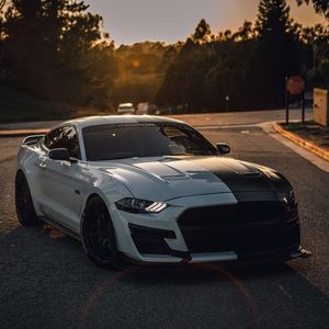 Meet your Posher, Jesus